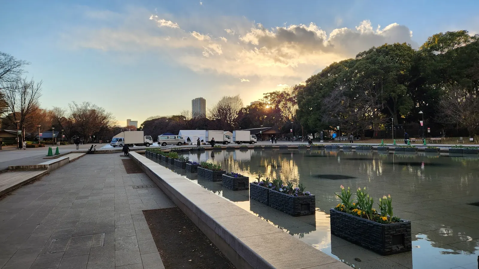 Reflecting pool at sunset in an urban park